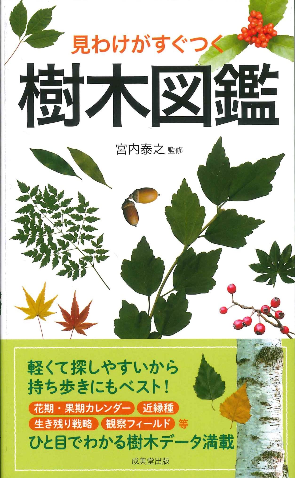 見わけがすぐつく樹木図鑑 | 宮内 泰之 |本 | 通販 | Amazon